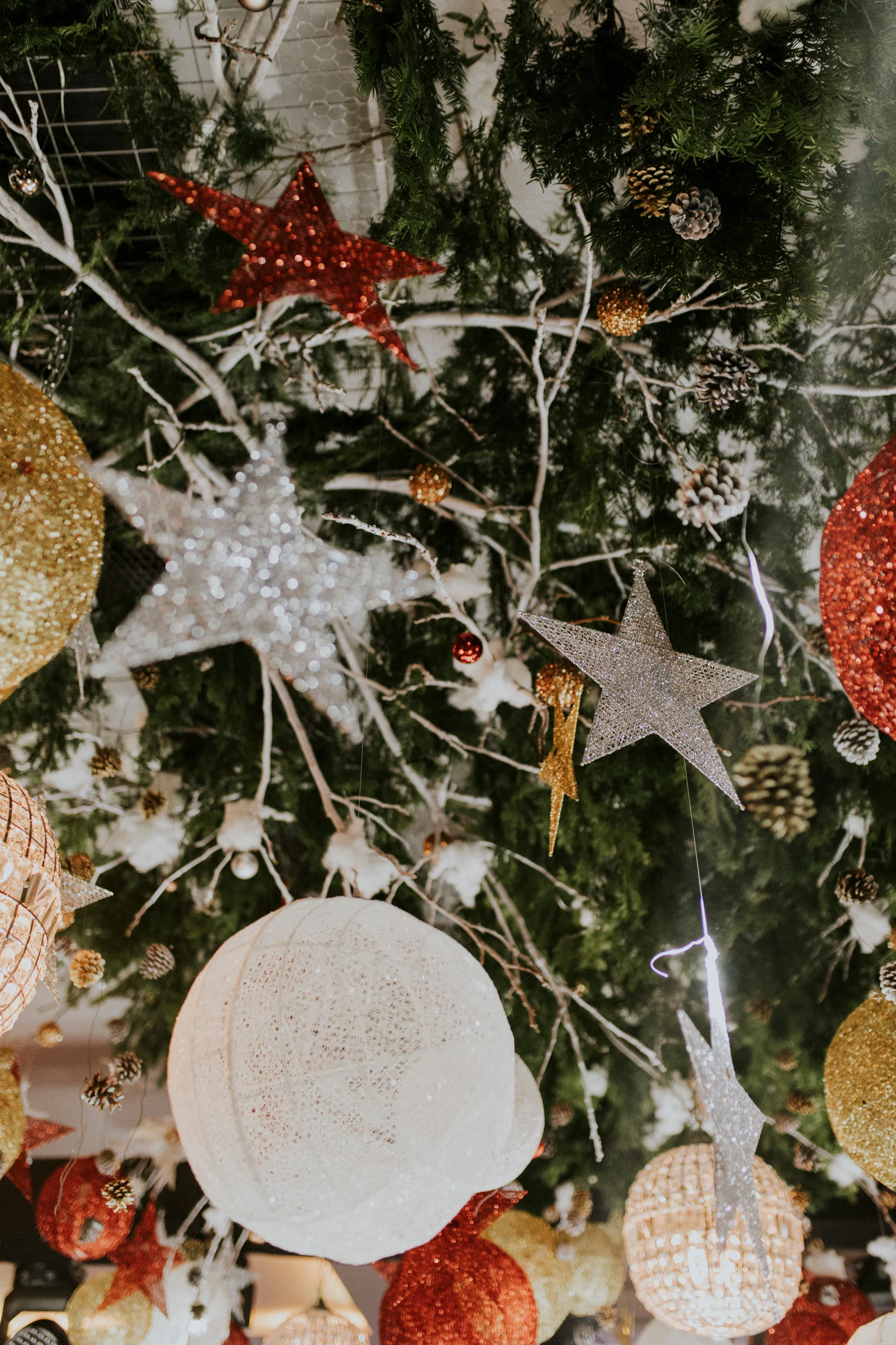 Close-up of silver stars, red ornaments and a white bauble among pine branches