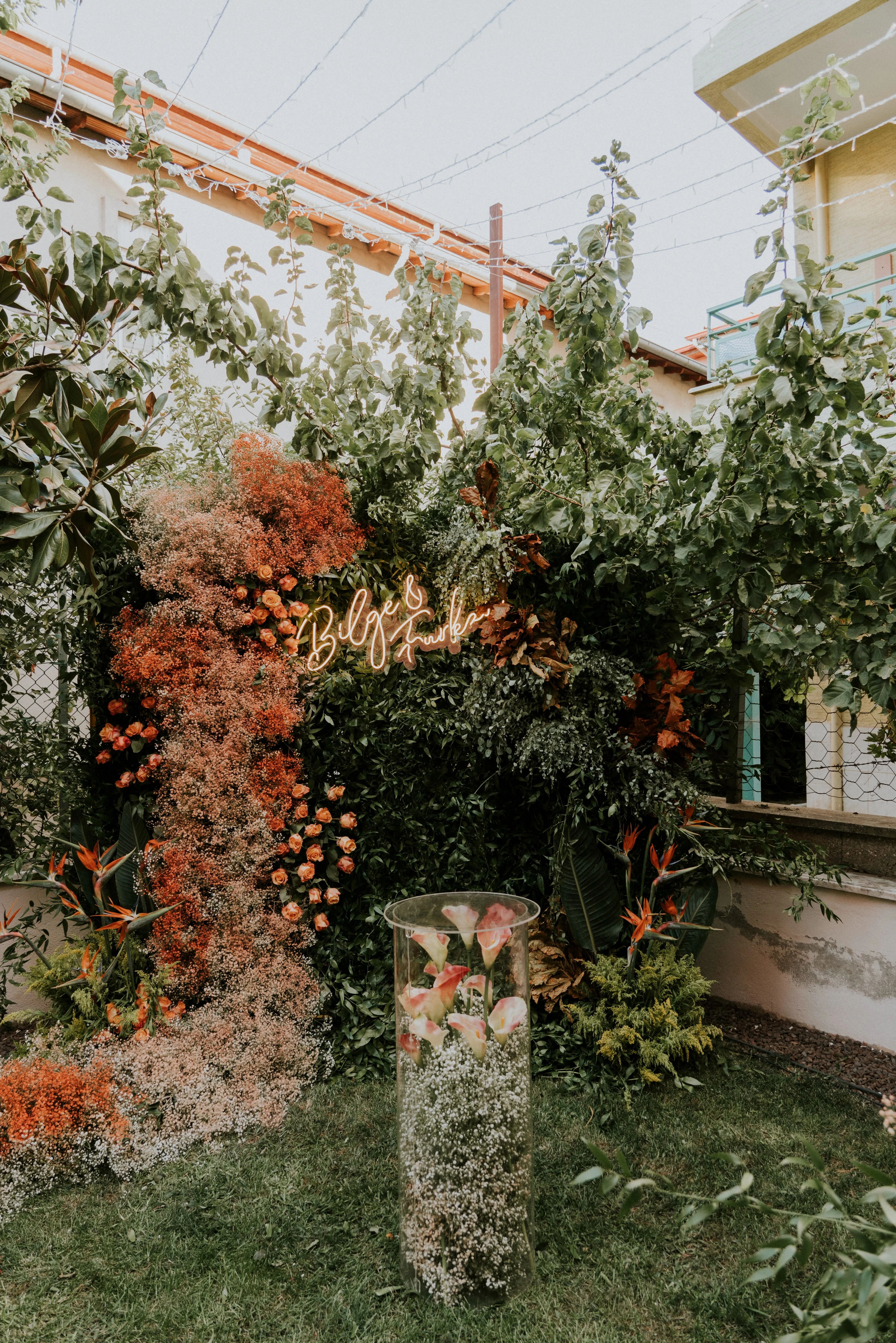 View of the orange floral engagement backdrop from the garden