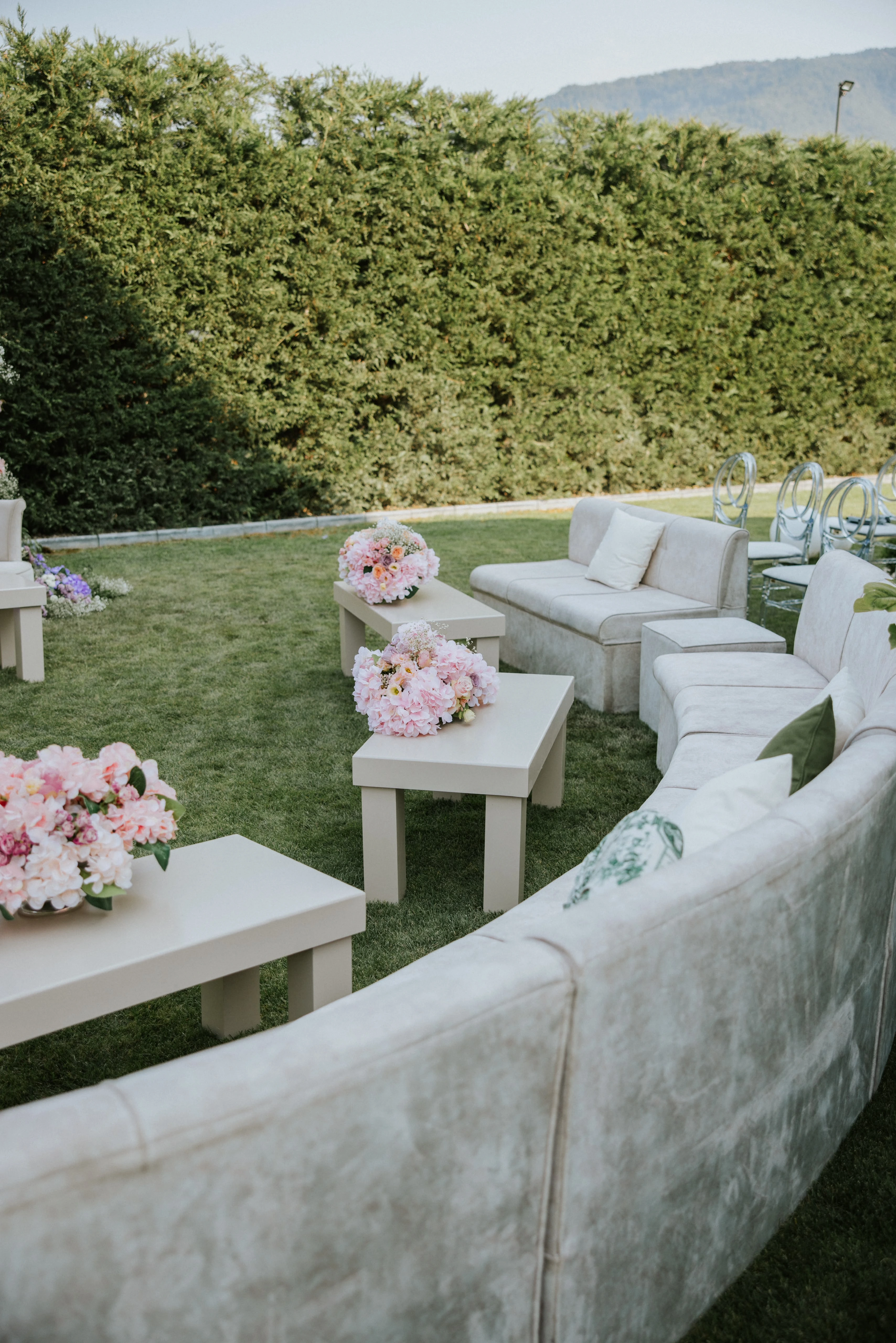 Curved cream sofa and low tables with pink hydrangeas before a green hedge
